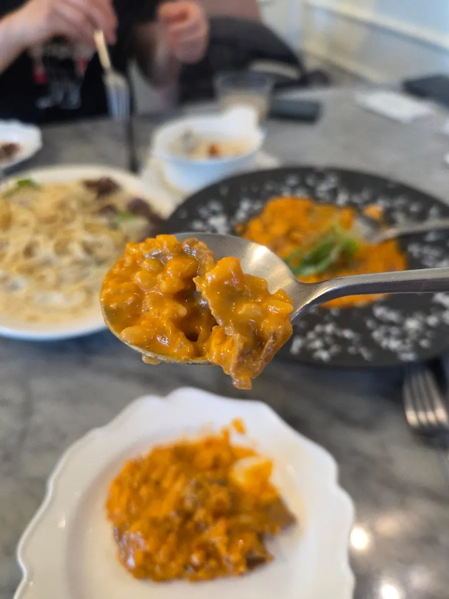 A spoonful of risotto soaked in rosé sauce