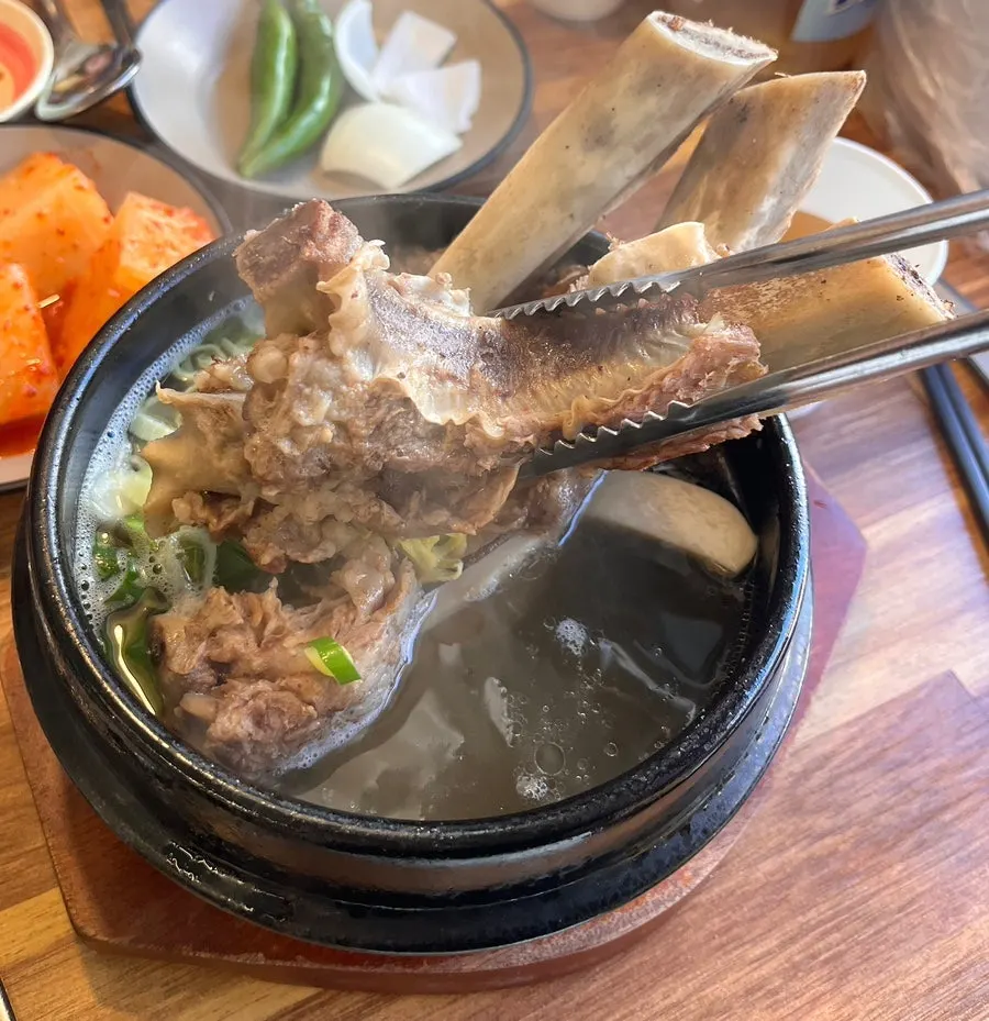 A large rib bone with plenty of meat attached