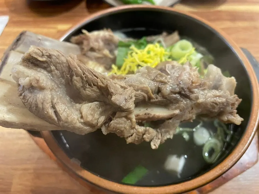 A large rib bone lifted out of the soup