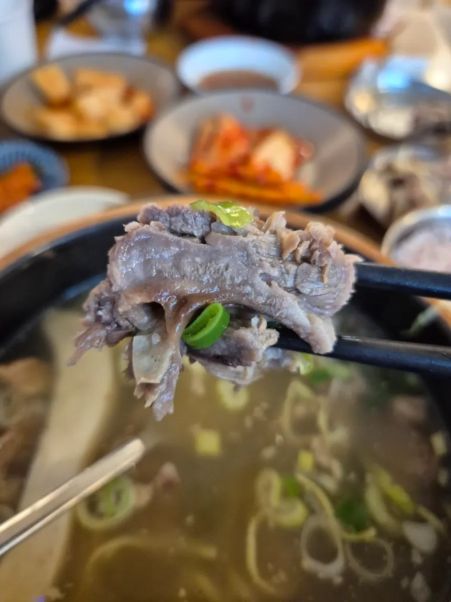 발라낸 갈비 살 한 점
