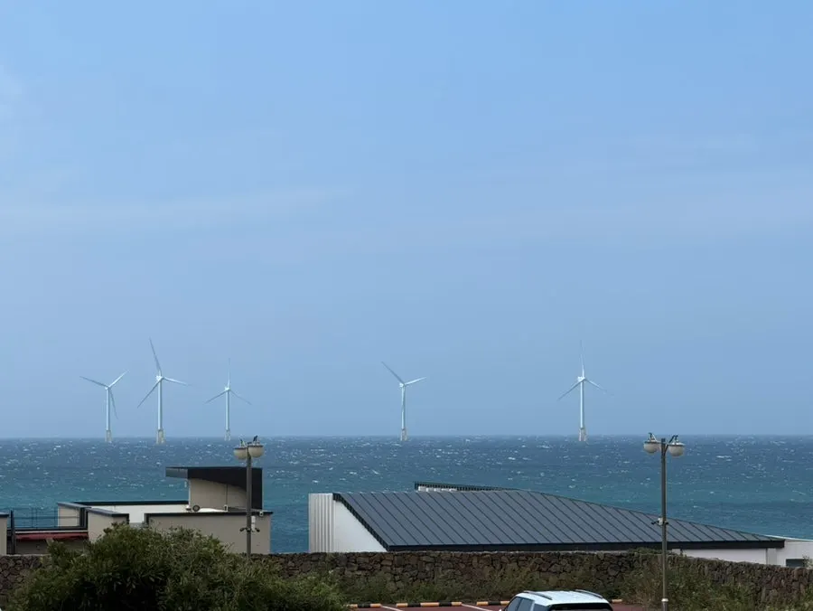 제주 애월 흑돼지 한 끼 마무리 상차림