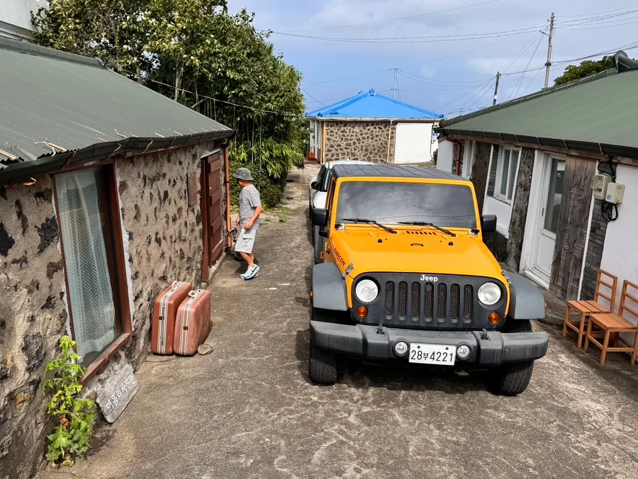 Hackberry tree and jeep snap shooting spot