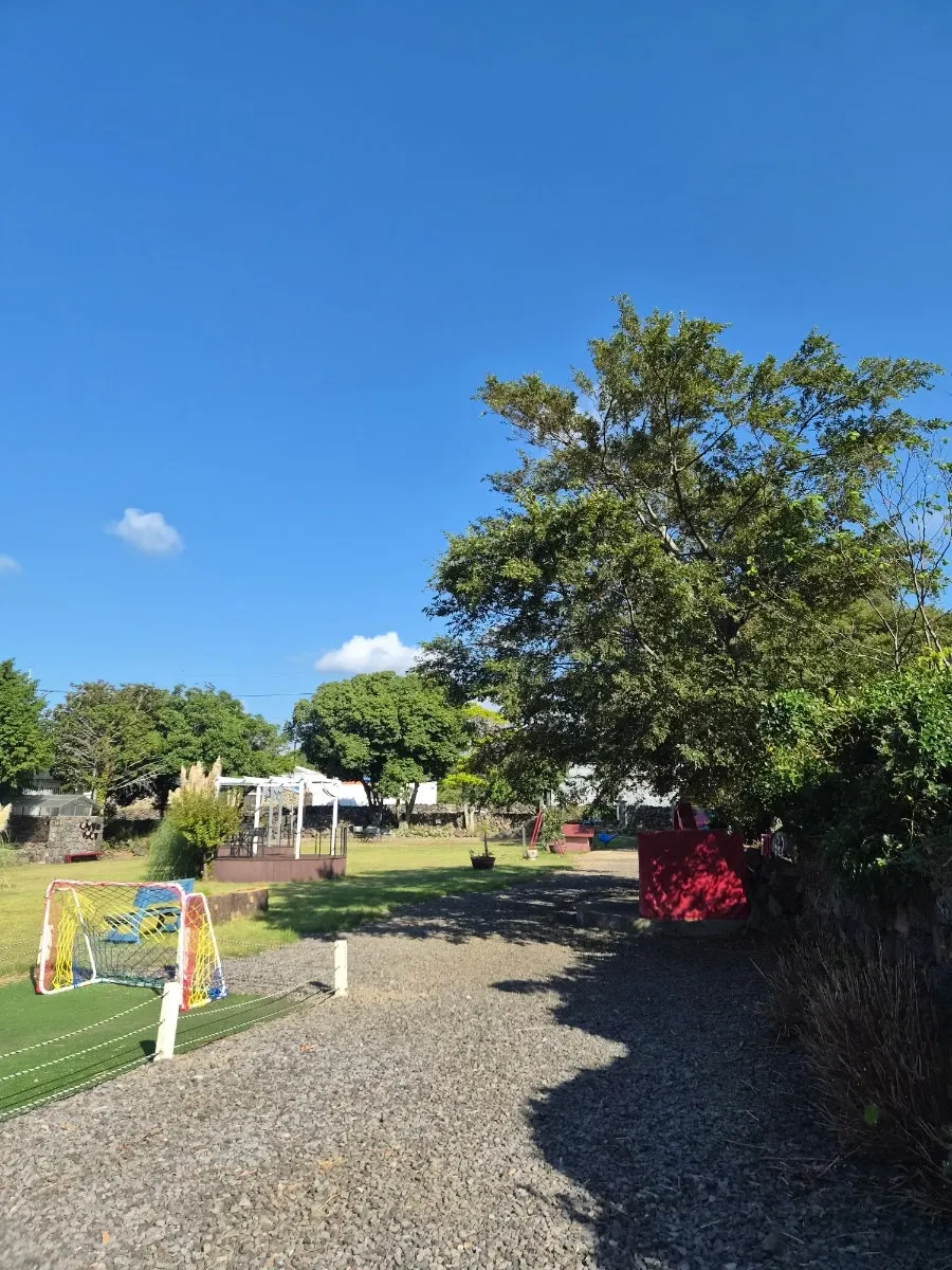 Trees and flowers at the outdoor shooting spot 3 minutes away on foot