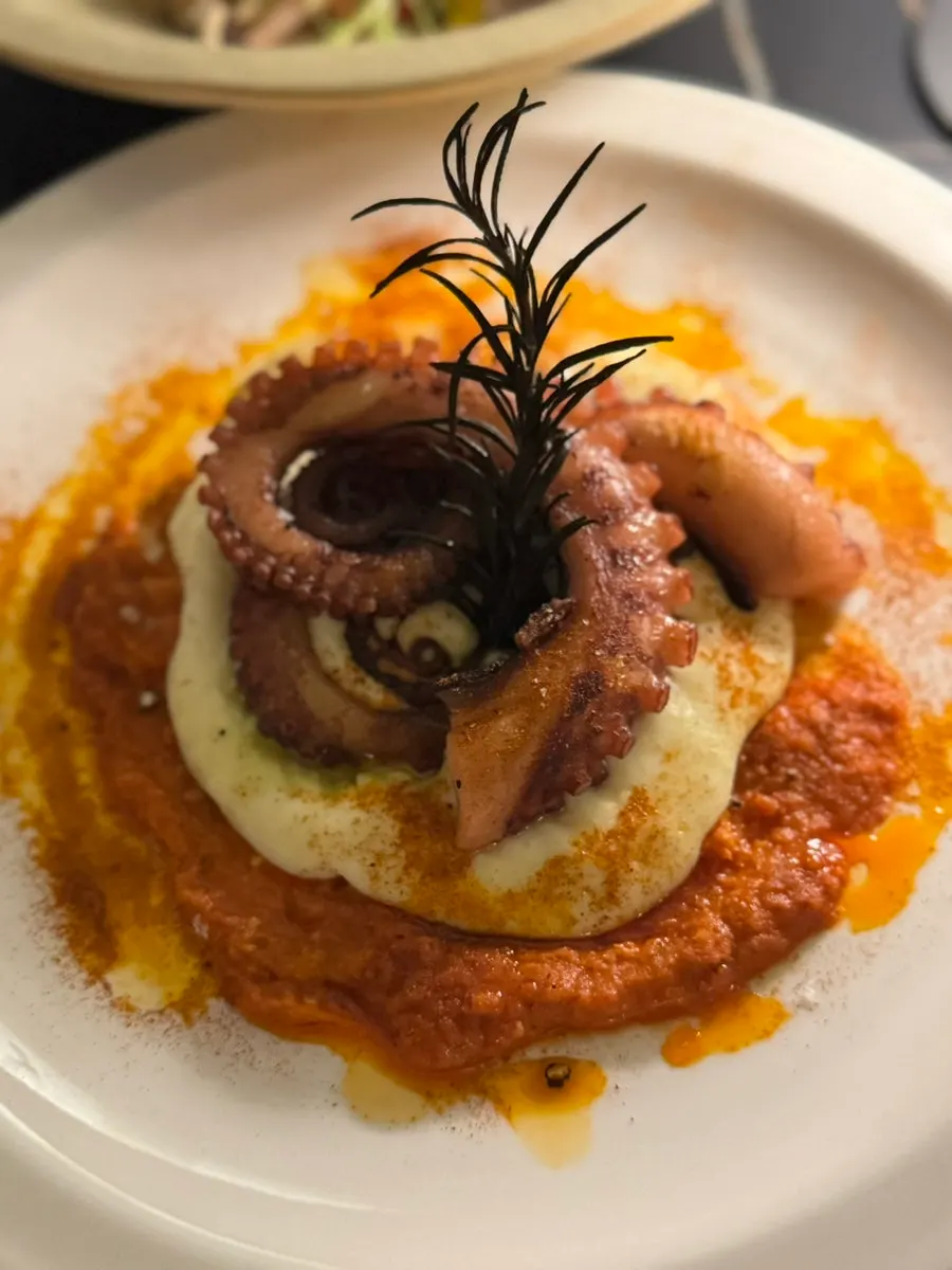 Close-up view of the seafood salad plate