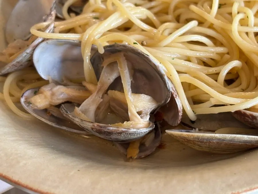 Primer plano de las almejas en la pasta vongole