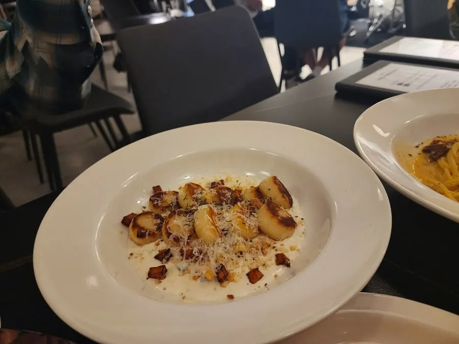 Close-up of potato gnocchi coated in mushroom cream sauce