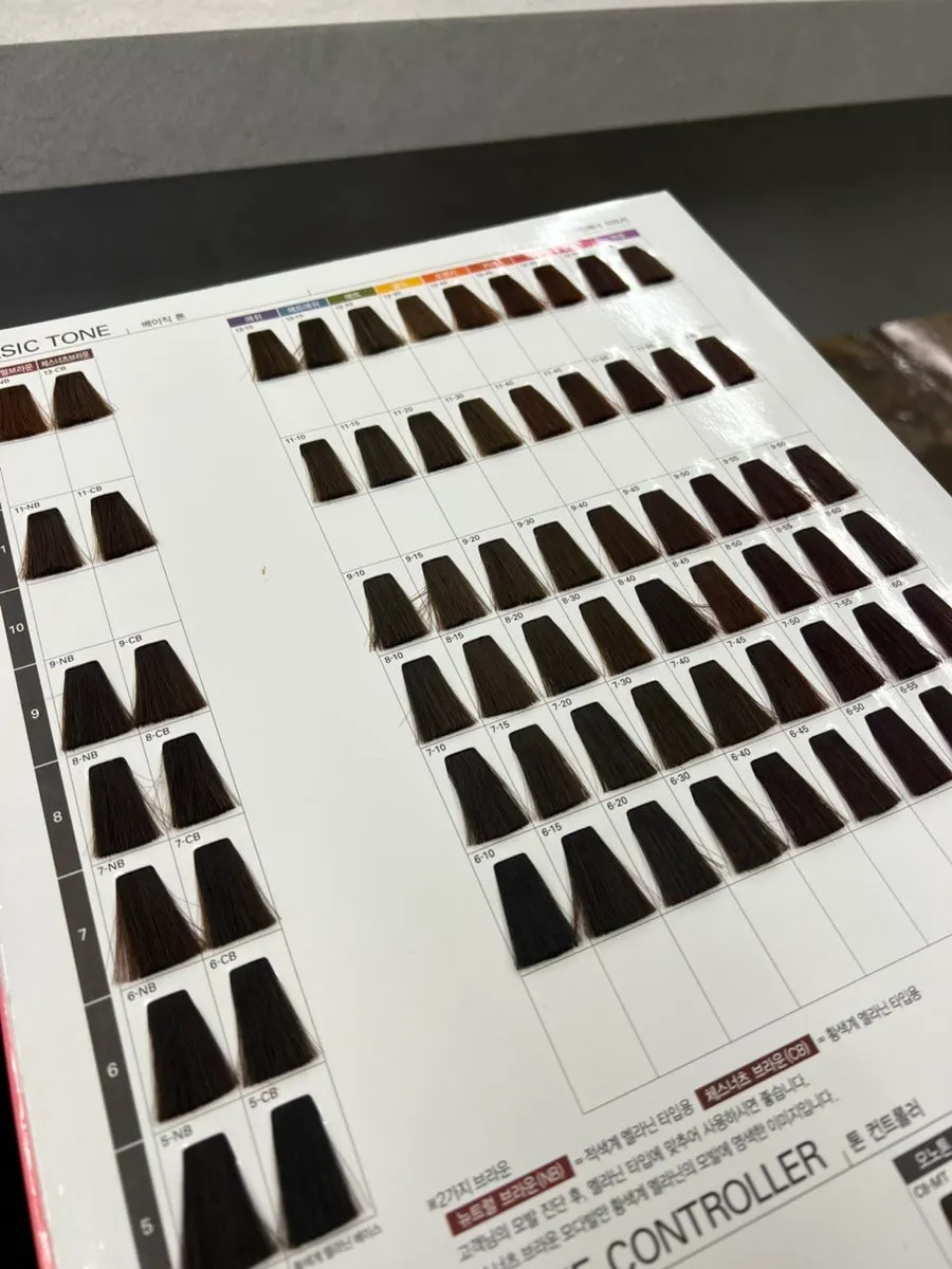Consultation and color selection process
