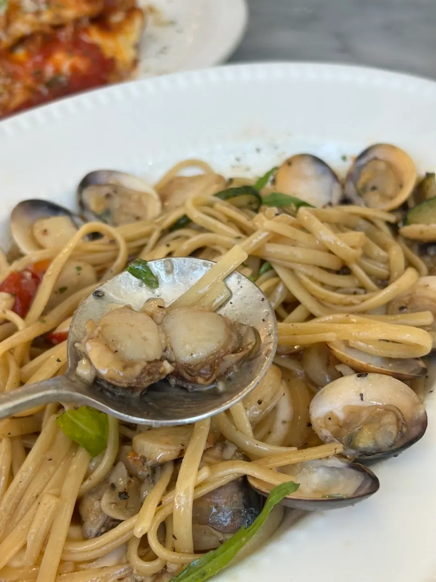 Clam pasta with zucchini and cherry tomatoes