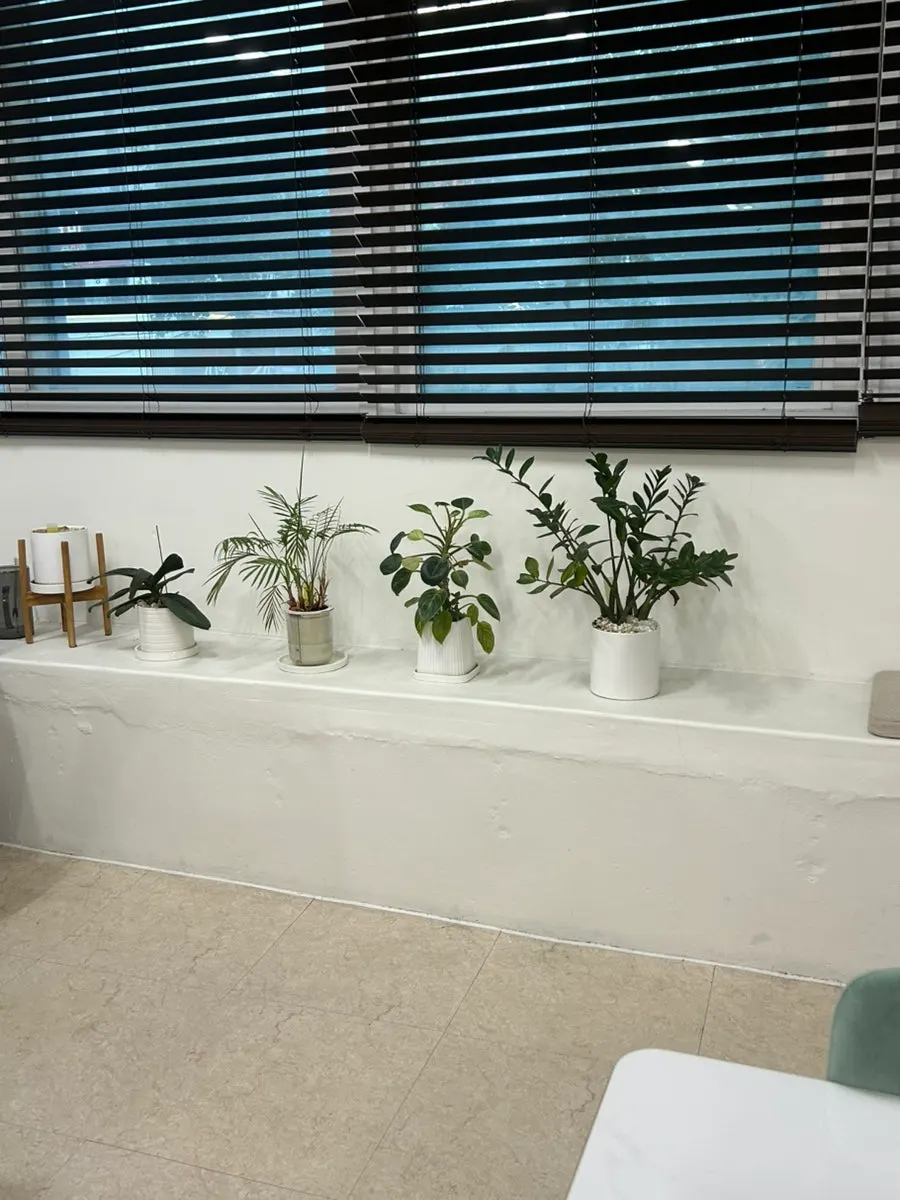 Interior of the pleasant, comfortable lash treatment salon