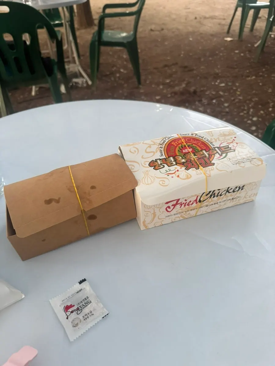 Dakgangjeong takeout set on the grass at the river park