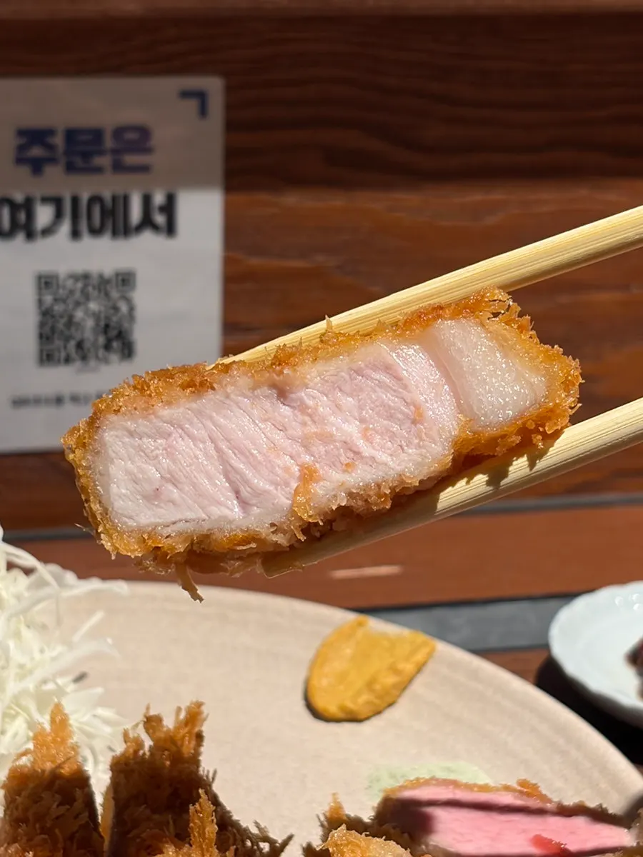 Tonkatsu with a clean, non-greasy finish
