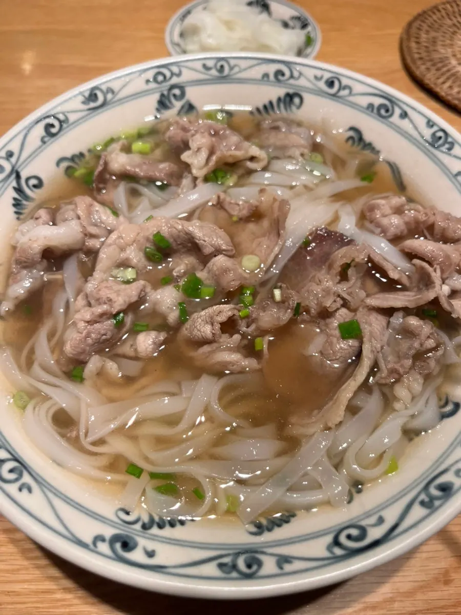 Close-up of beef pho meat and noodles