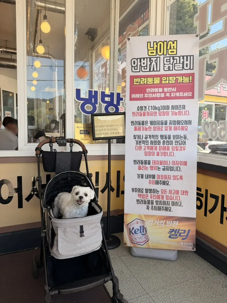 반려동물 케이지 지참 안내가 적힌 매장 입구