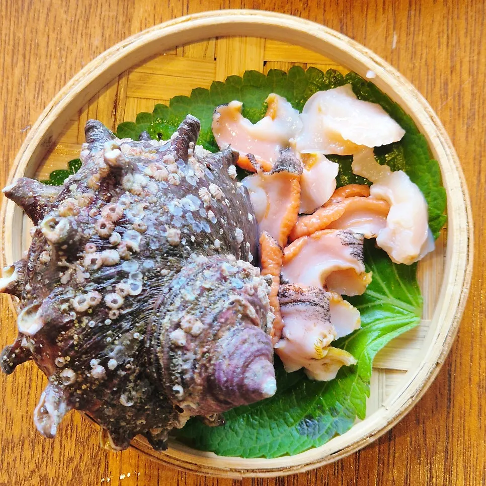 꼬들꼬들한 전복회