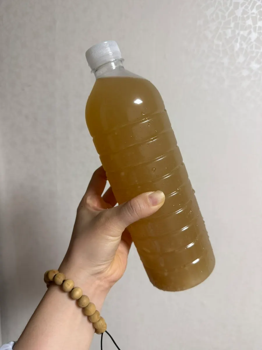 Packaged gamju bought separately to take home