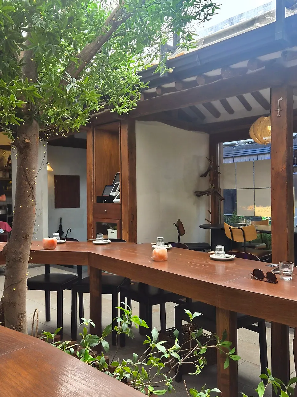 植物のあるConcasse Angukの店内