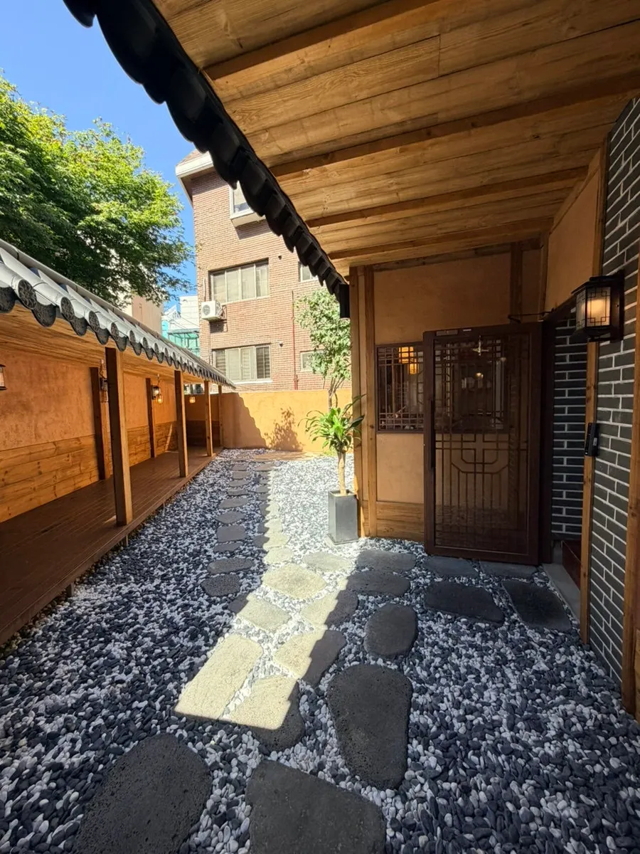 Sunlight pouring into Anok's interior