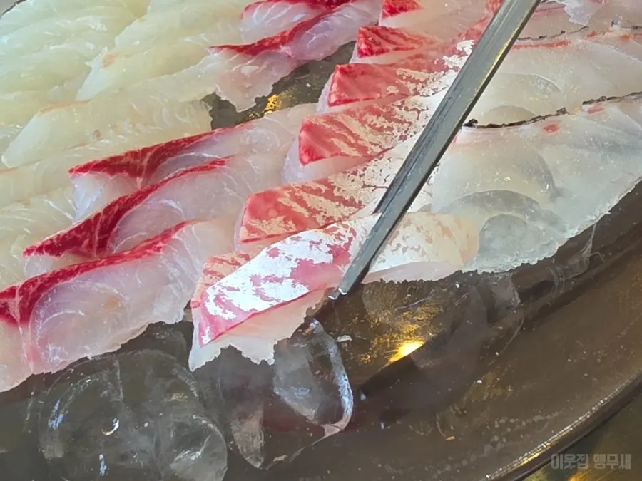 Small platter of seasonal assorted sashimi