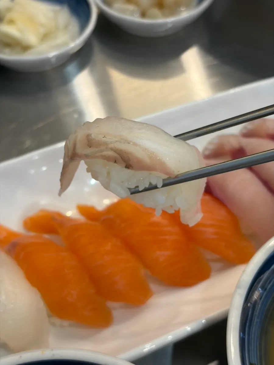 Assorted sushi with salmon, halibut, and rockfish