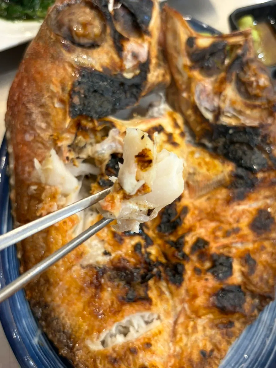 Warm grilled rockfish