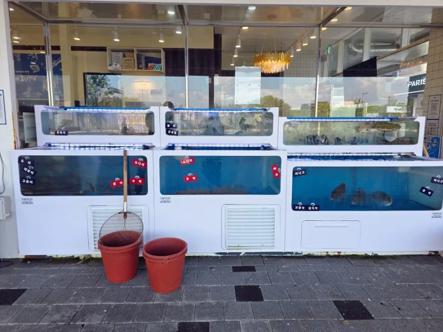 Cleanly maintained fish tank in front of the restaurant