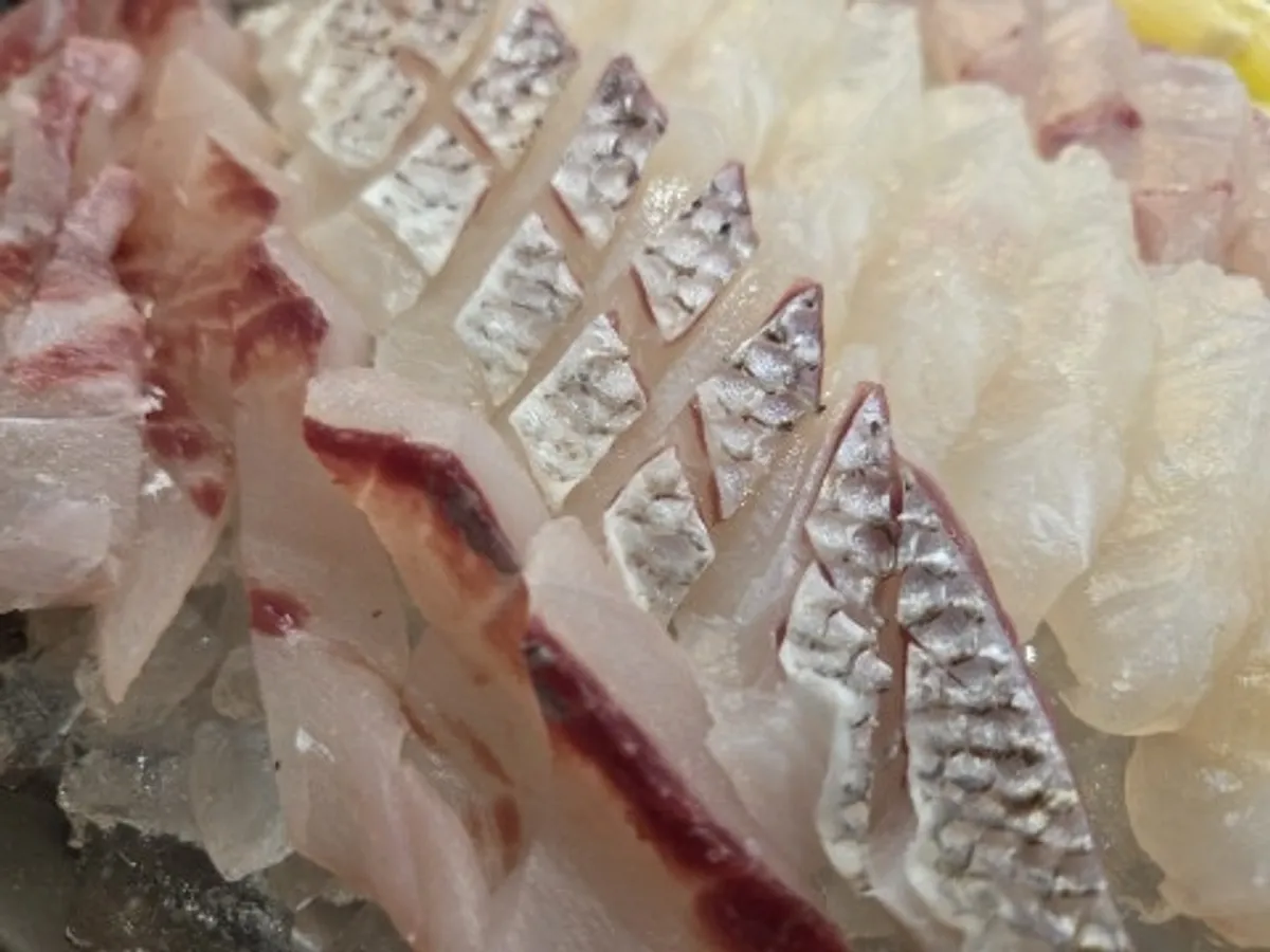 Plate of plump seasonal sashimi