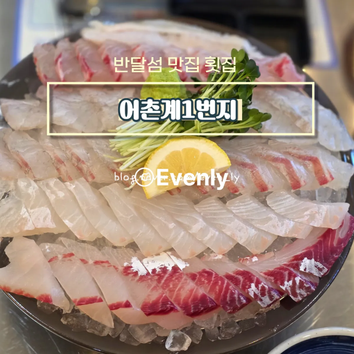 A plate of red snapper sashimi platter at Eochongye 1beonji on Bandalseom, Ansan