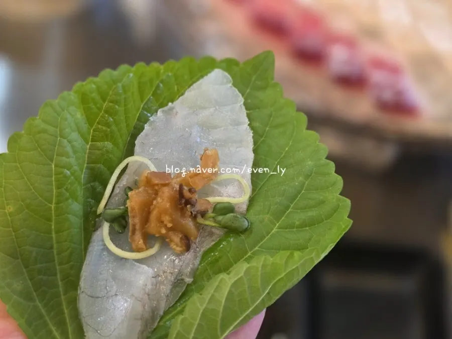 A thick slice of mullet sashimi