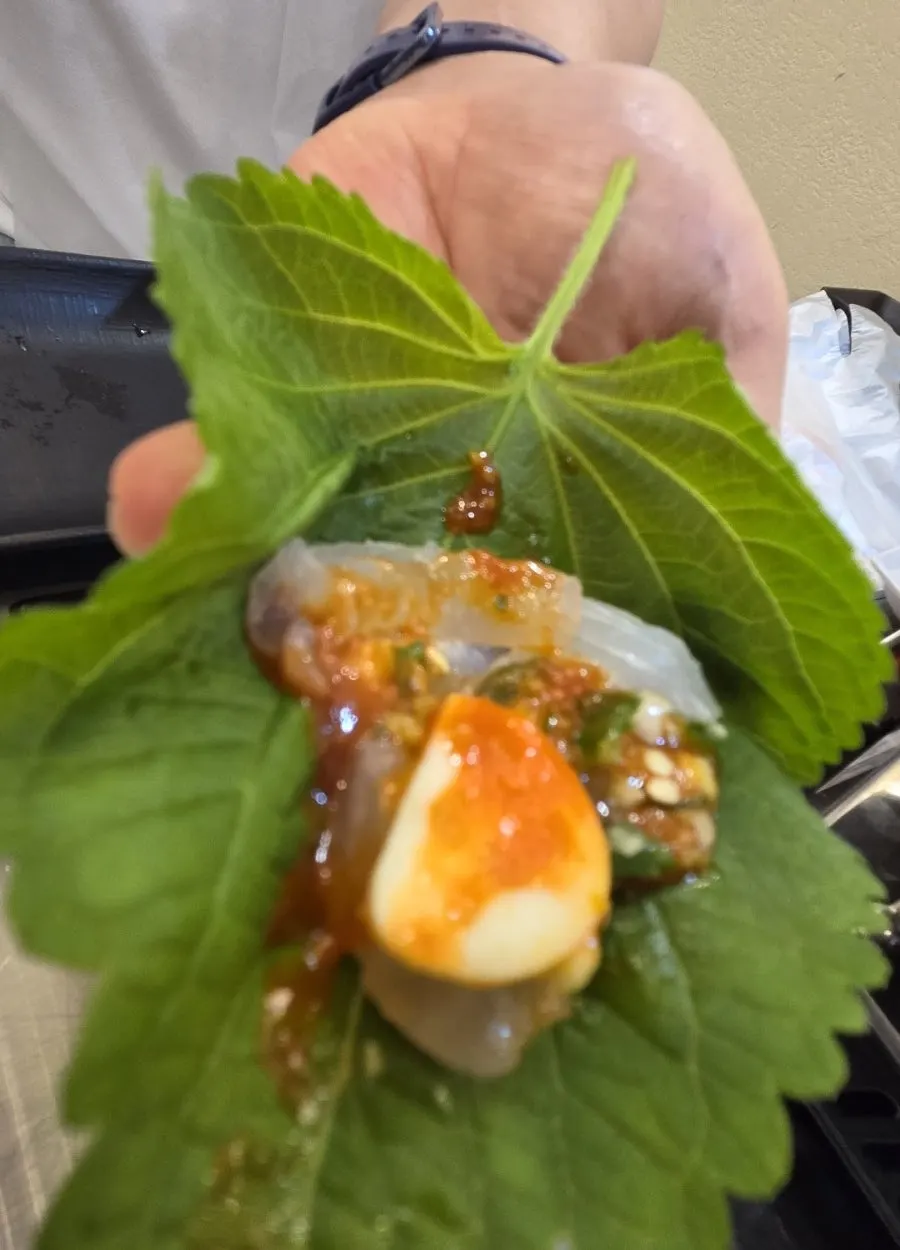 두툼하게 썬 광어회 클로즈업