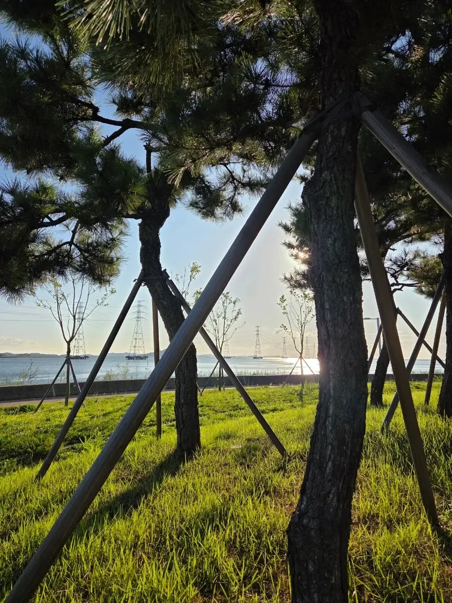 A resting spot with a sea view at Bandal Island Cultural Park