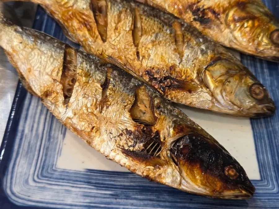 Complimentary grilled autumn gizzard shad