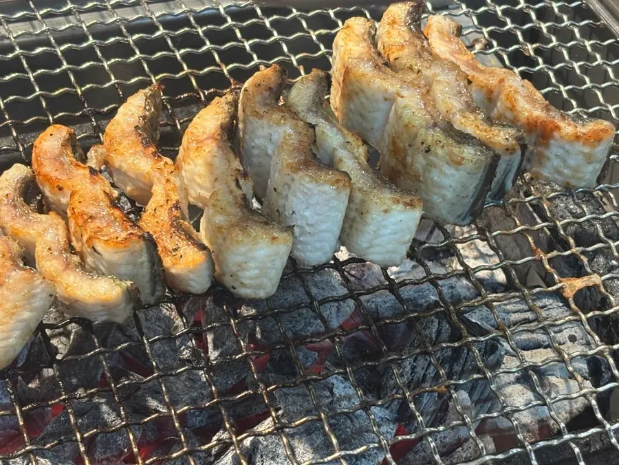 Freshwater eel grilled golden brown even on the cut sides