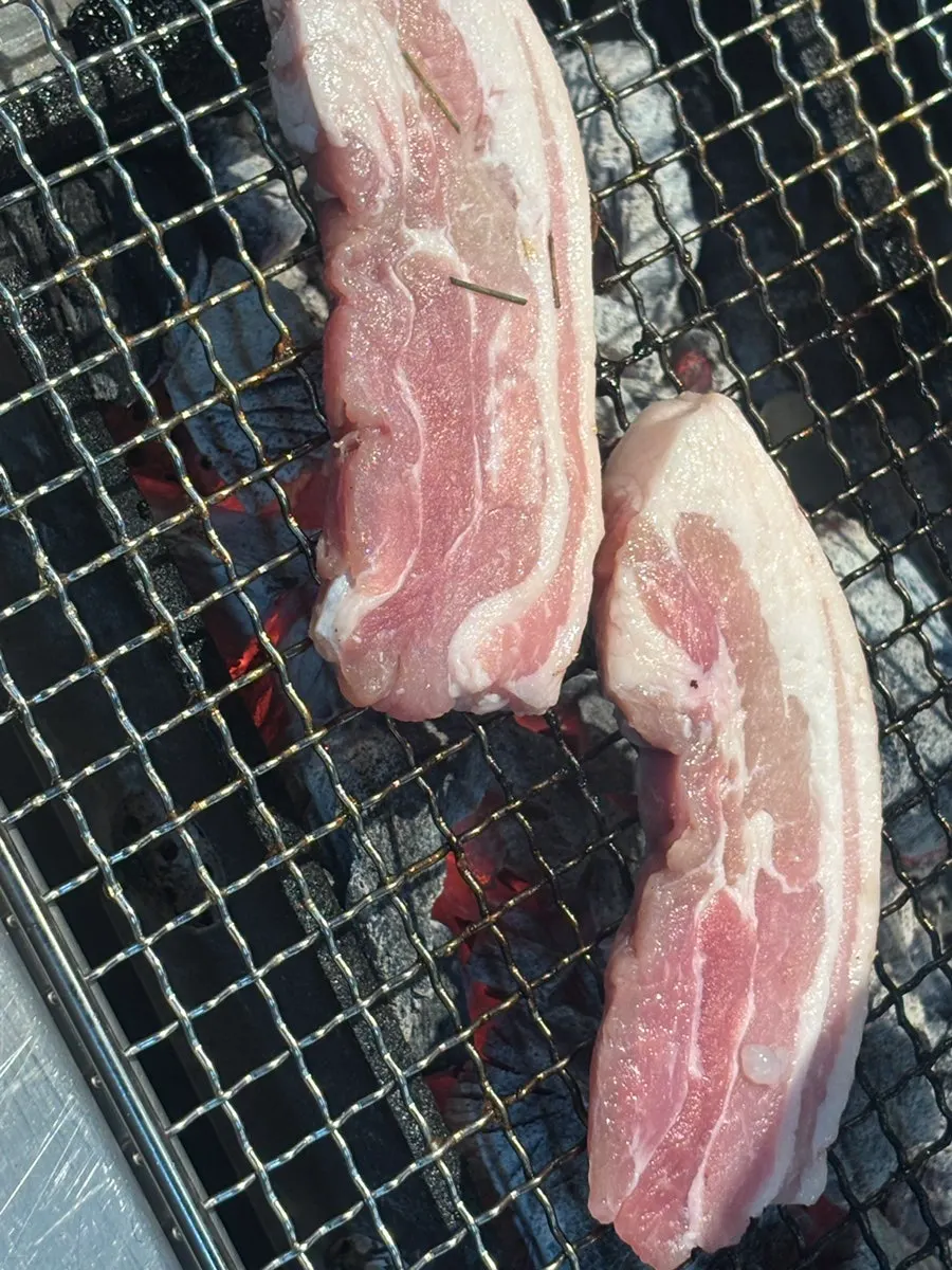 A plump piece of grilled eel