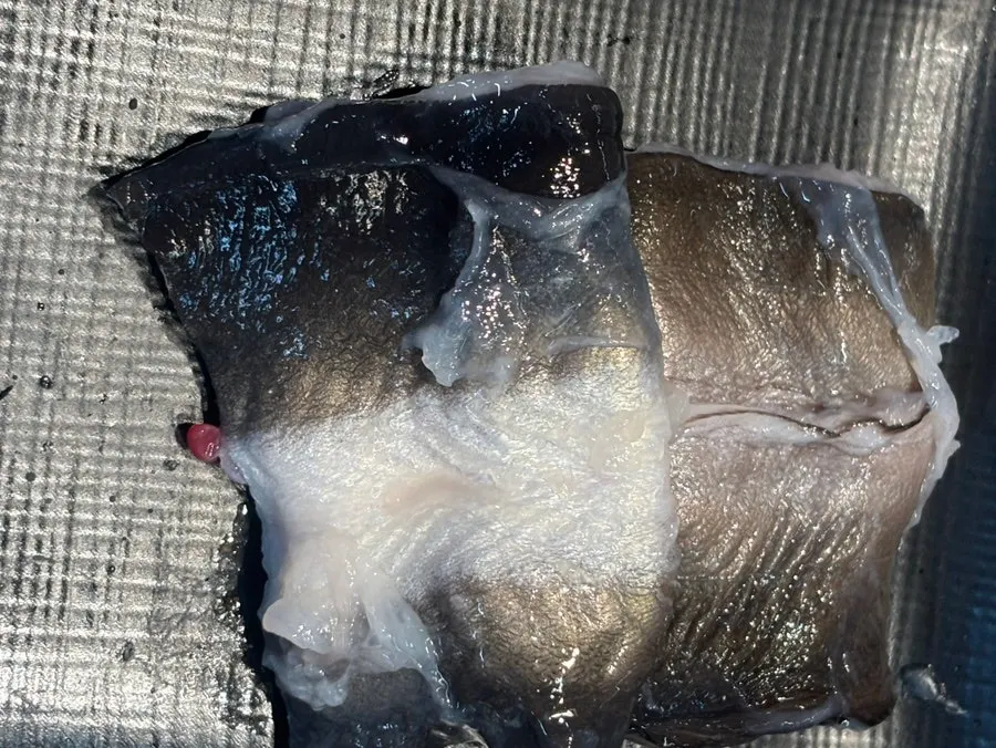 Eel and meat grilling together on the plate