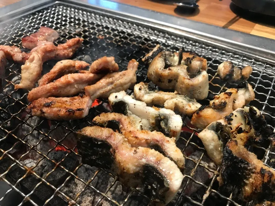 Gambar pengenalan belut segar sepuasnya