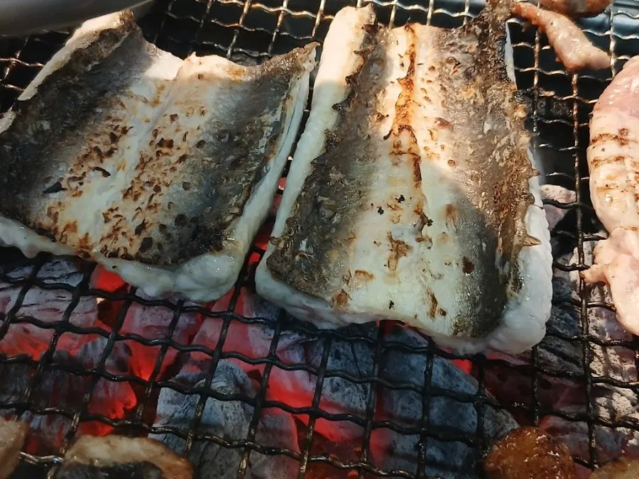 처음 나온 통통한 민물장어 한 접시