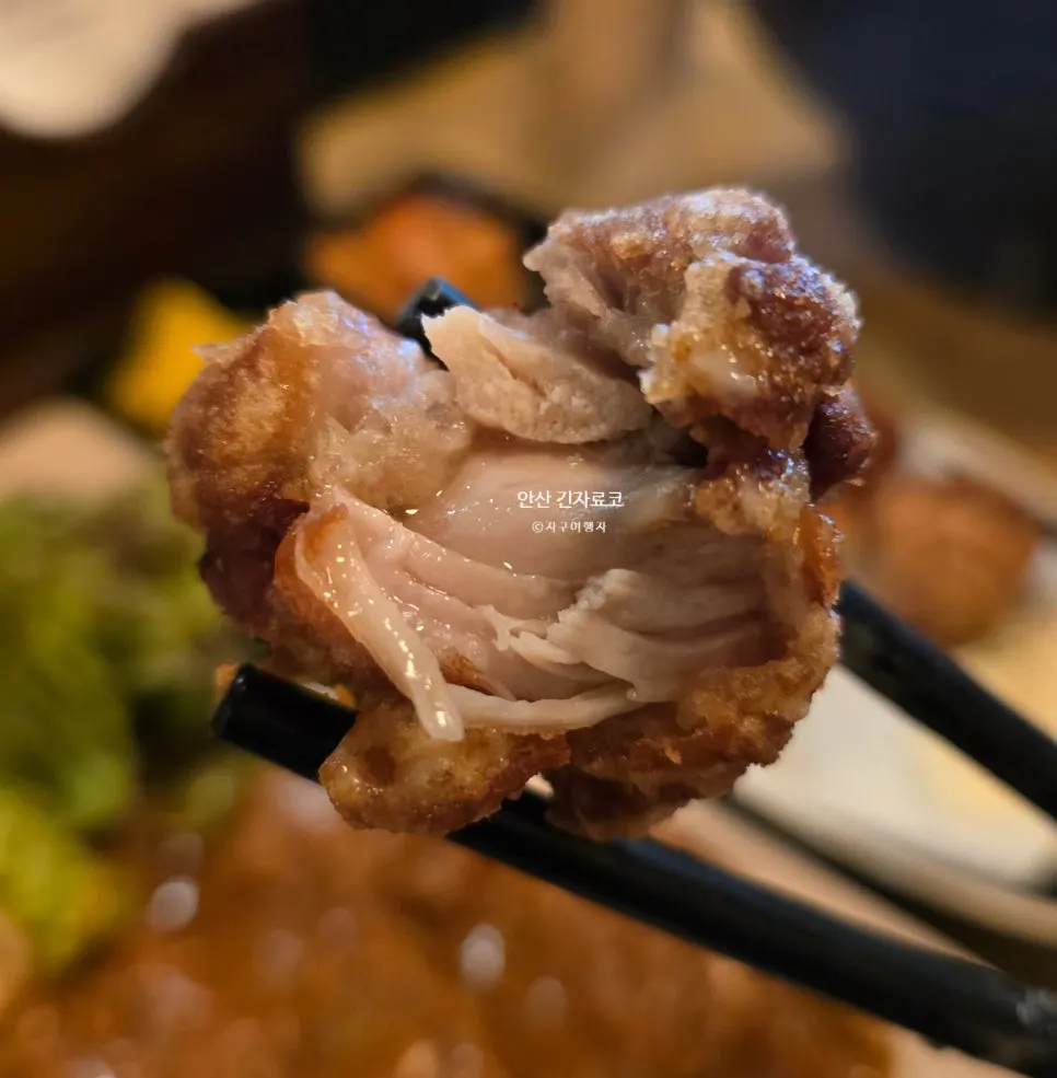 A piece of chicken thigh karaage
