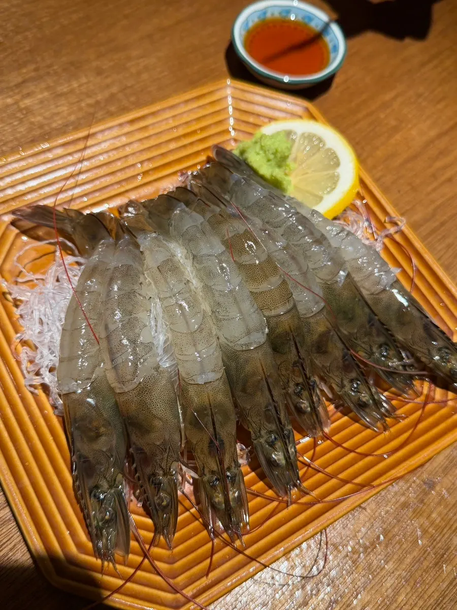 Seasonal autumn raw shrimp sashimi