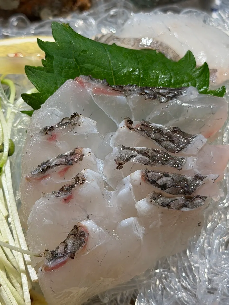 Aged red sea bream, flounder, and rockfish sashimi