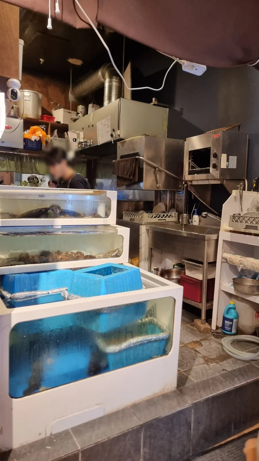 Inside Susan Jang with a shrimp tank