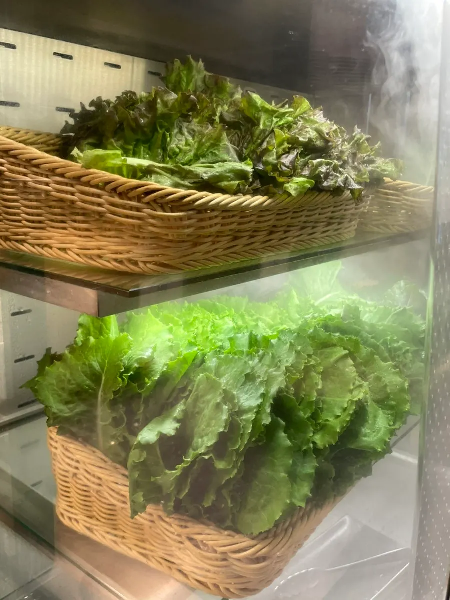 Neatly arranged side dishes at the self-serve bar