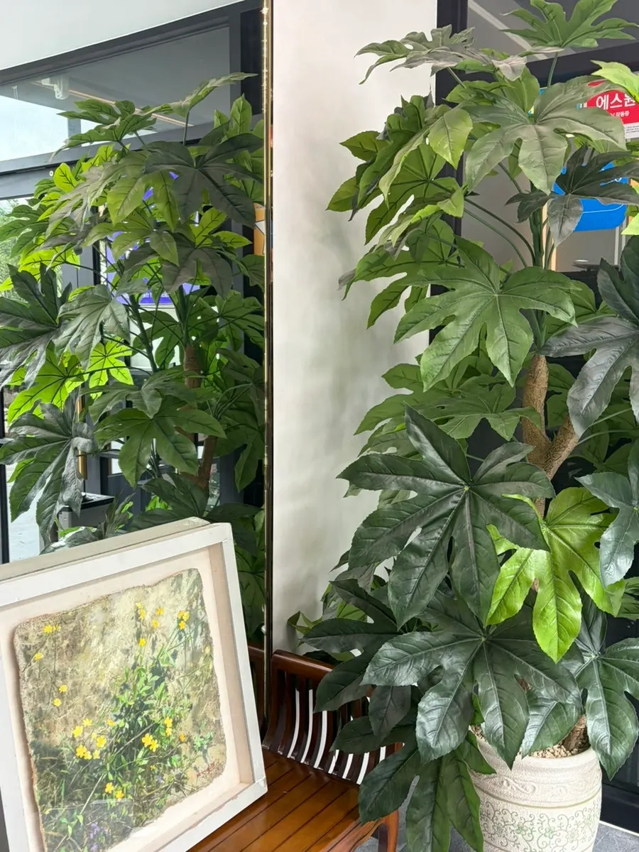 Restaurant entrance decorated with objects and plants