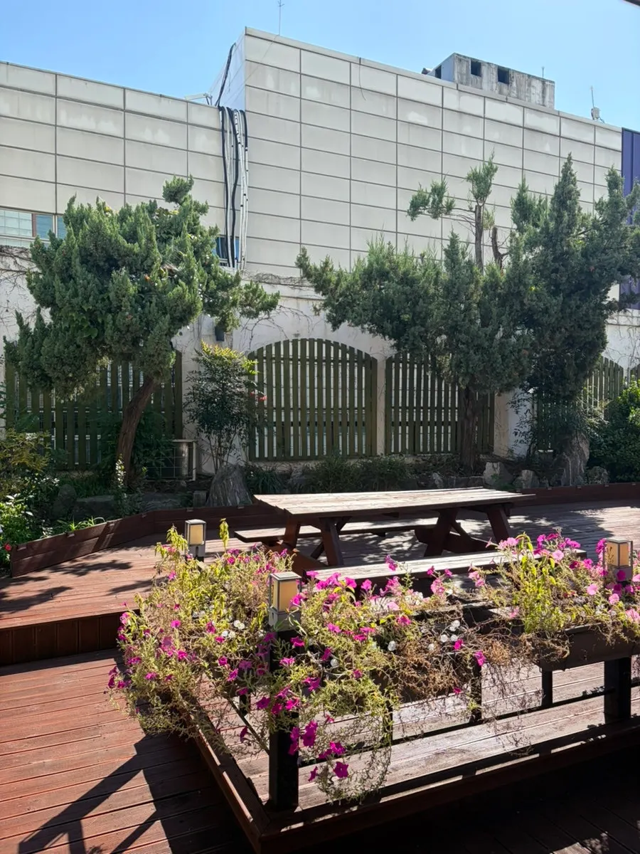 Rooftop terrace of the restaurant decorated with plants