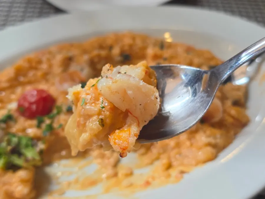 A spoonful of the rosé sauce risotto