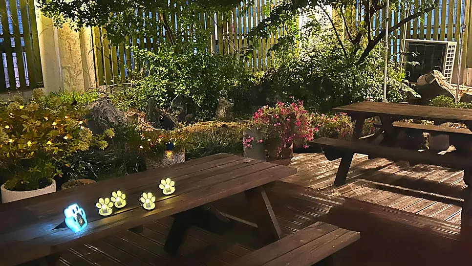 Lit rooftop garden and terrace space