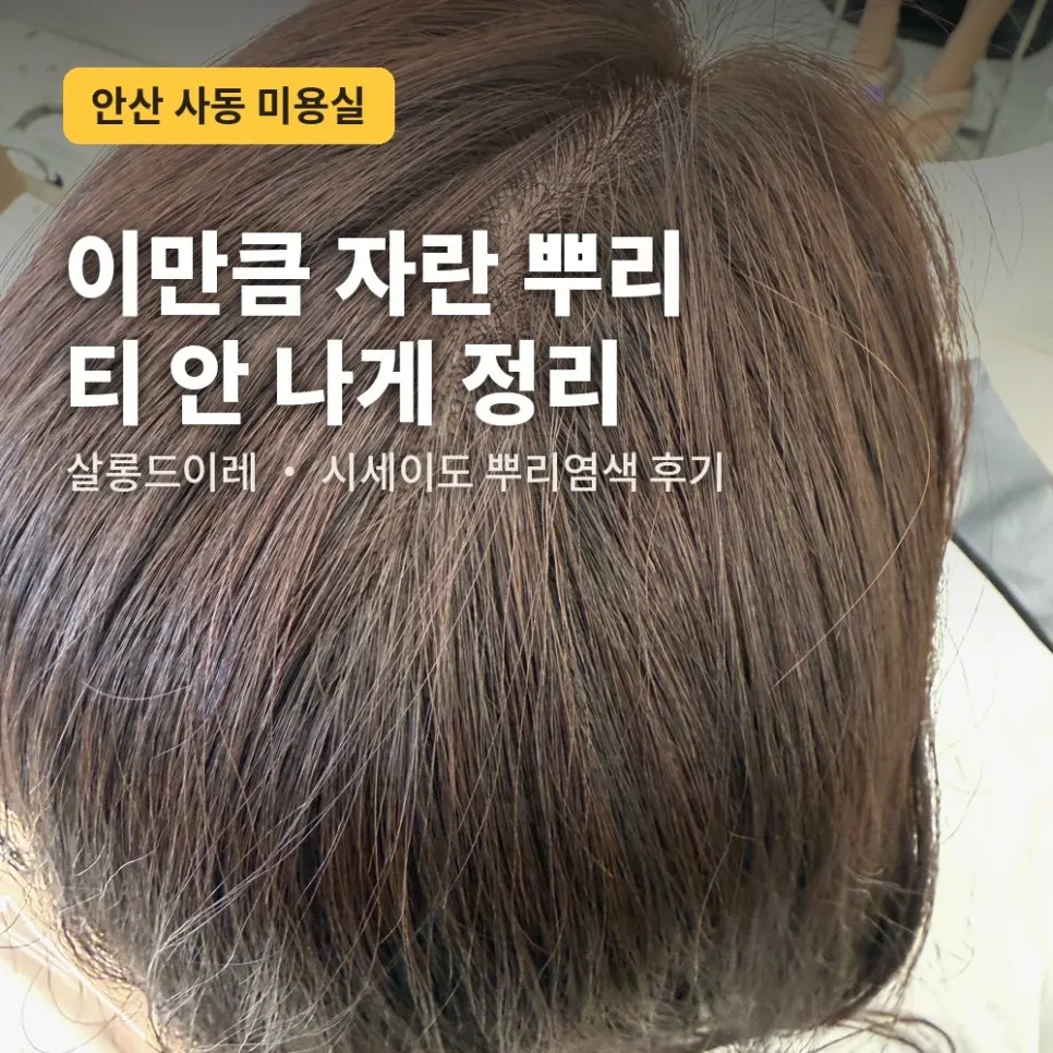 Featured image introducing the root color before and after