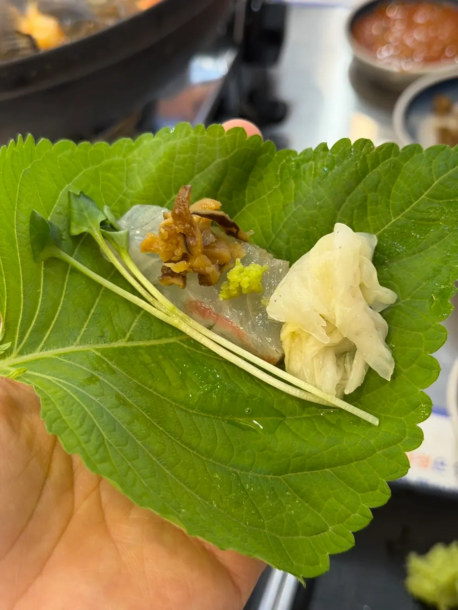 Olive flounder sashimi eaten with sauce