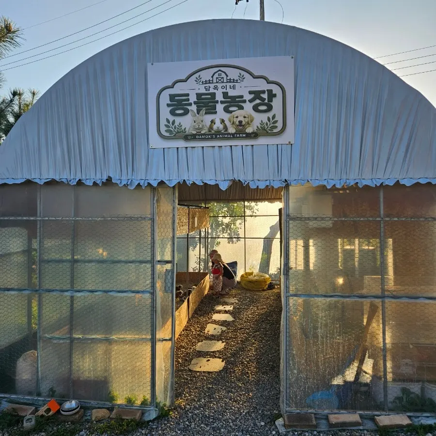 トダムオク店舗入口周辺の様子