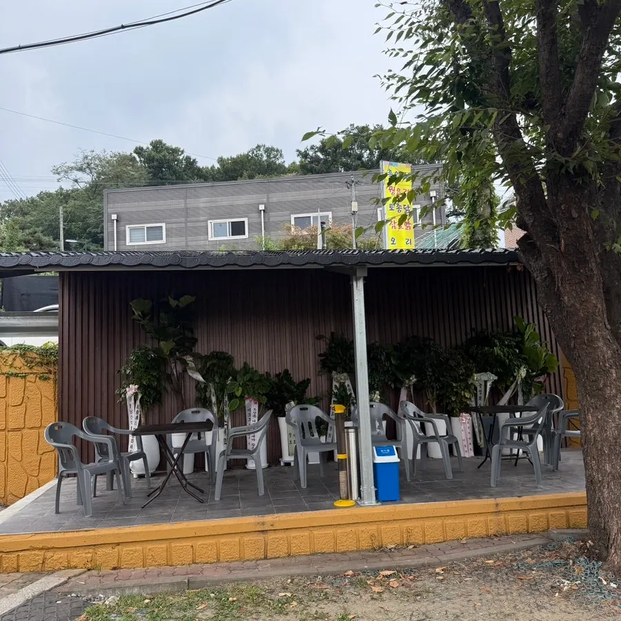 Todamok's outdoor area