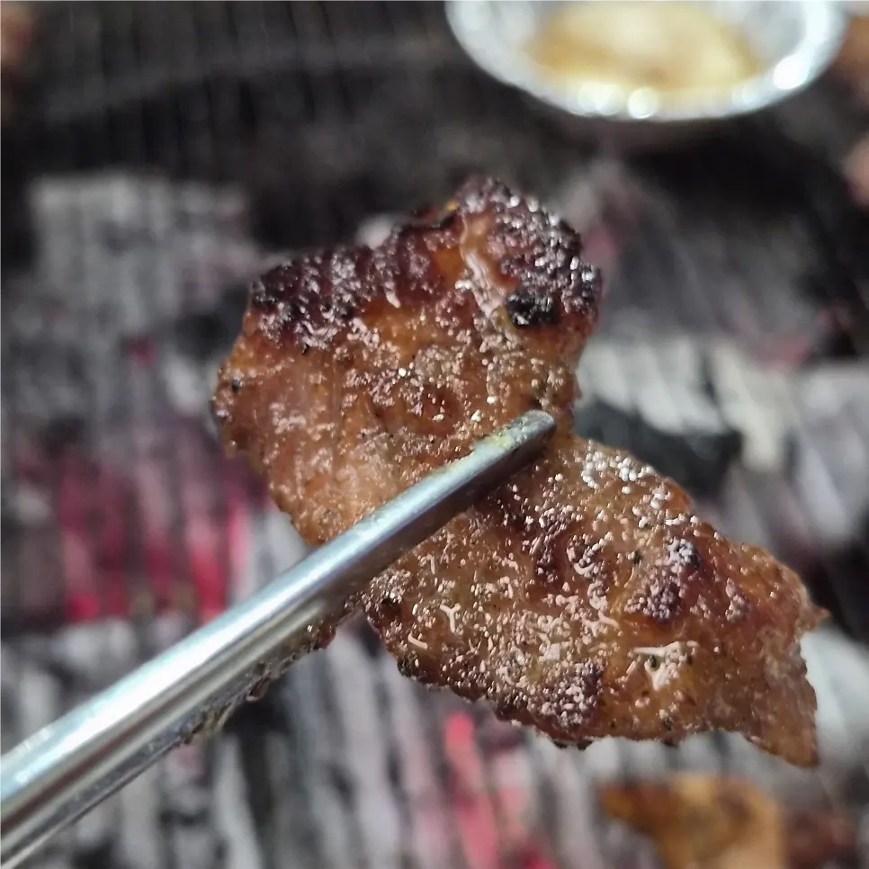 Well-seasoned pork ribs